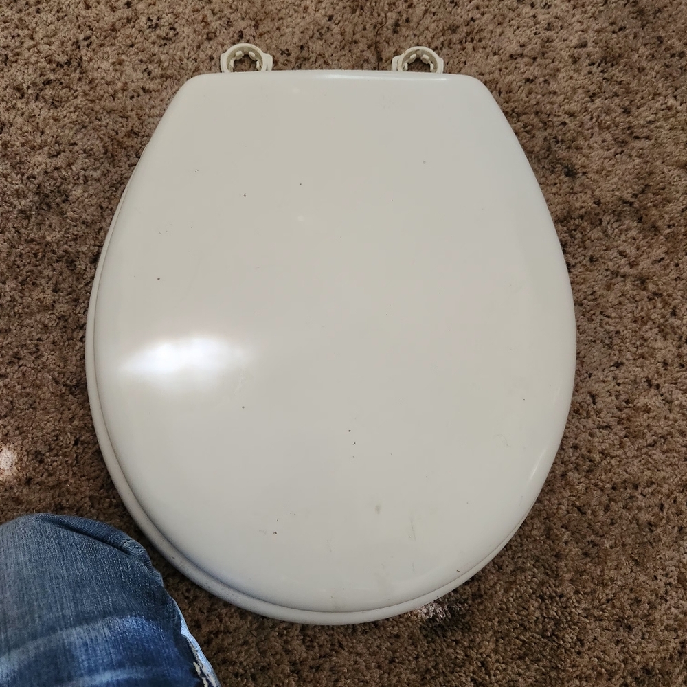 *Toilet seat